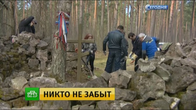 : ntv.ru