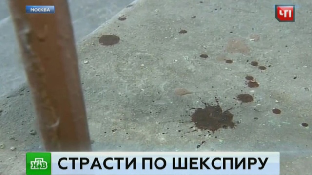 : ntv.ru