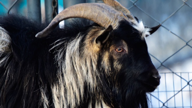  ������ ������� ����������� ����� ������ 