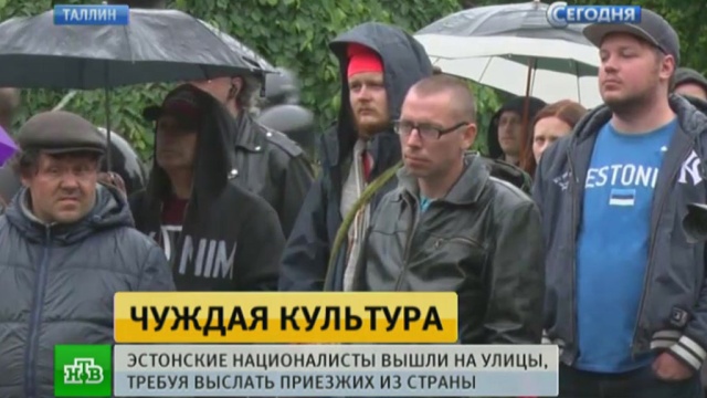 Фото: ntv.ru
