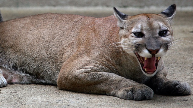  ��� ������� �������� ������� ����� ���� 