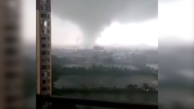  ������ ������� ����� ���� 100 