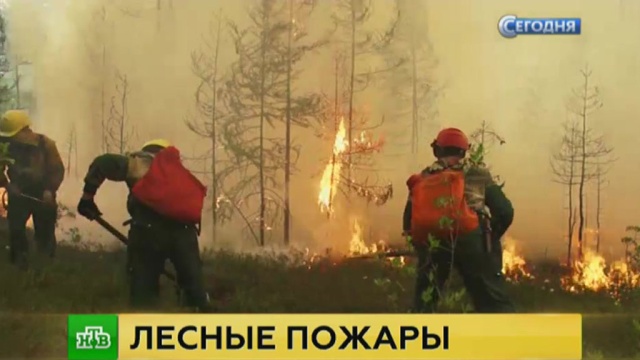 Фото: ntv.ru
