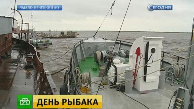 : ntv.ru