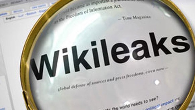  WikiLeaks  300     