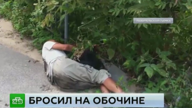 Фото: ntv.ru