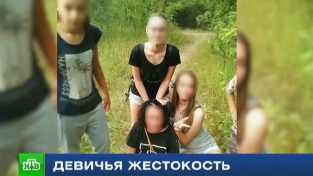 Фото: ntv.ru