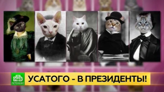 : ntv.ru