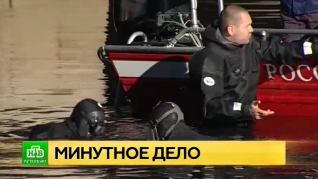 Фото: ntv.ru