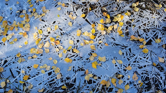  ��������� ������������ ��������� ������ ����������� 