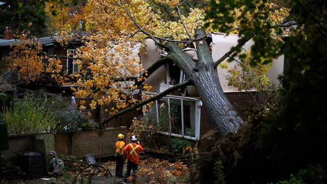  �������������� ������ ������� ����� ������� ������ 