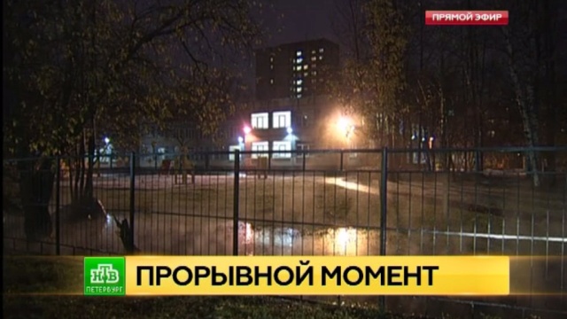 Фото: ntv.ru