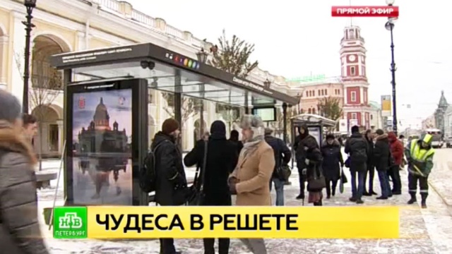 Фото: ntv.ru