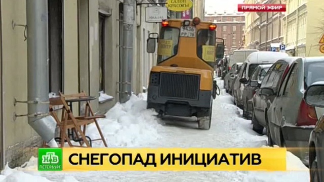 Фото: ntv.ru
