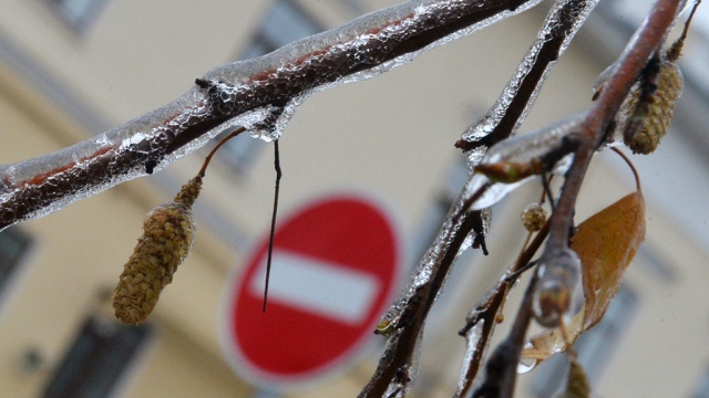  ������ �������� ��������� �������� ����� ���������� ������ 