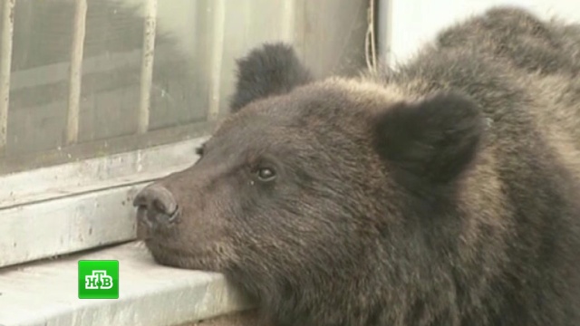  ������� ������ ����������� ���� 