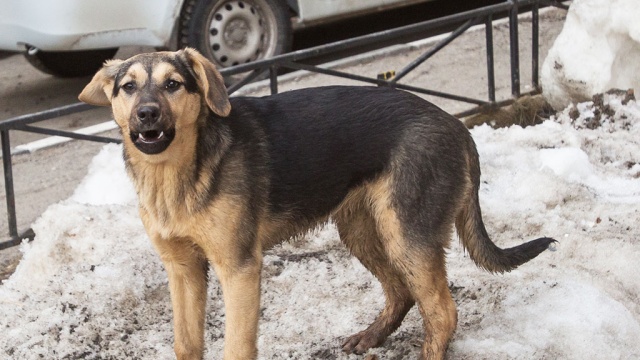  �������������� ���� ����� ����������� ���������� 