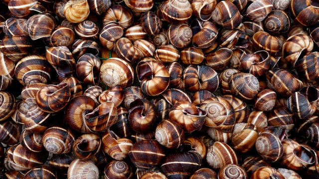  ���������� ��������� ���������� ������� ������ ������� 