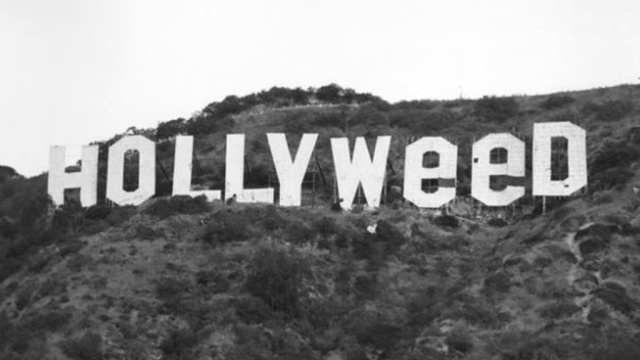     Hollywood  Hollyweed