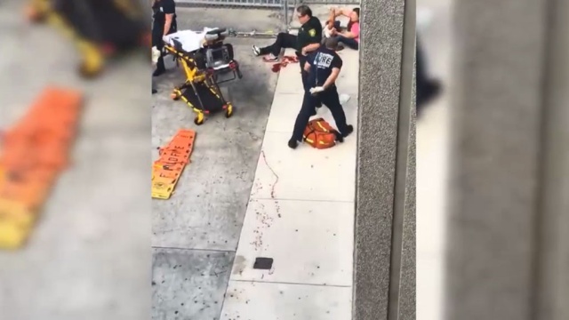  ����� ������� �������� ��������� ������� 