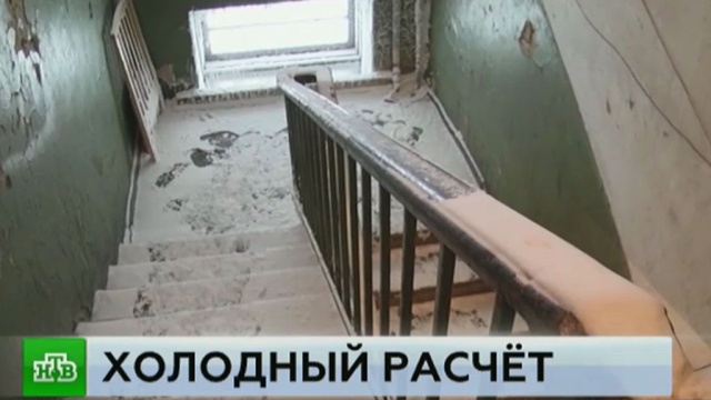 Фото: ntv.ru
