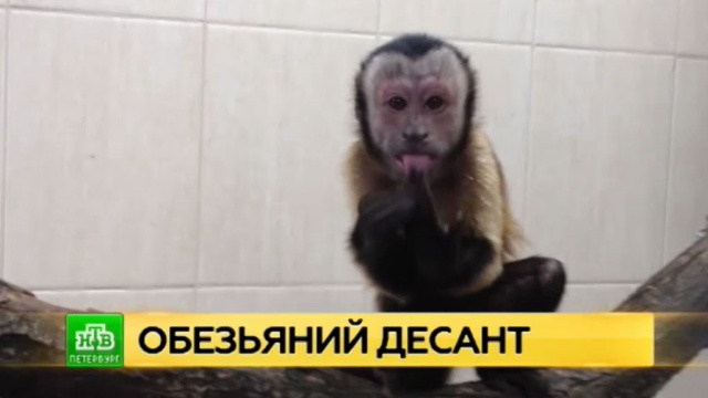  ������������� �������� ���������� ����� ��������������� �������� 