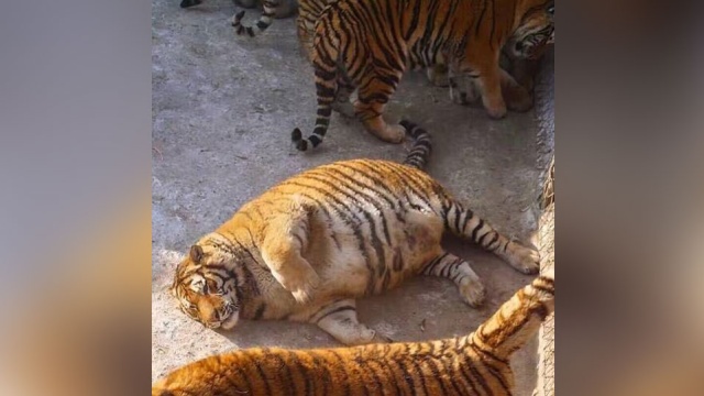  ����������� �������� ����� �������� �������� 