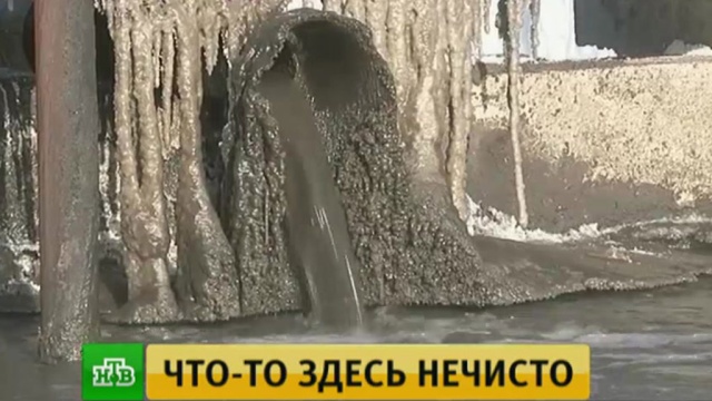 Фото: ntv.ru