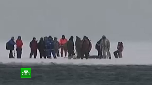  �������� ������� ������ ���� ������������ ������ 