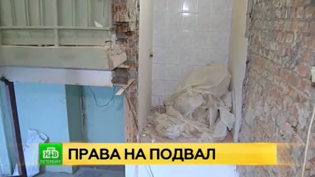 Фото: ntv.ru