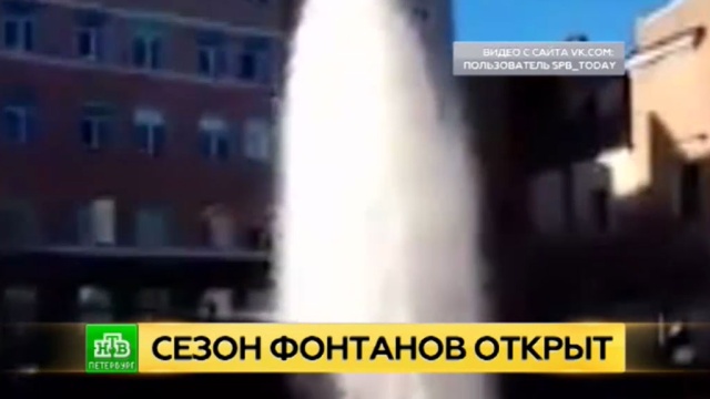 Фото: ntv.ru