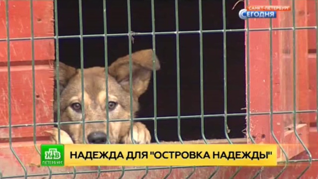  �������������� �������� ������� ����� ��� �������� 