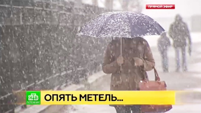  ��������� ��������� ���� �������� 