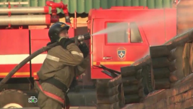  ������ ������������ ���� ������� �������� 