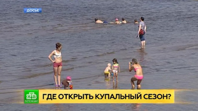 Фото: ntv.ru