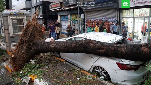  ������� ��������� ������ ������ ������ ������������ 