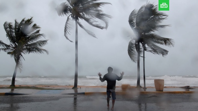  ����� ������� ����� ������� ���� 