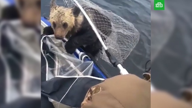  ���������� ������ ������ �������� ����� ���������� ����� 