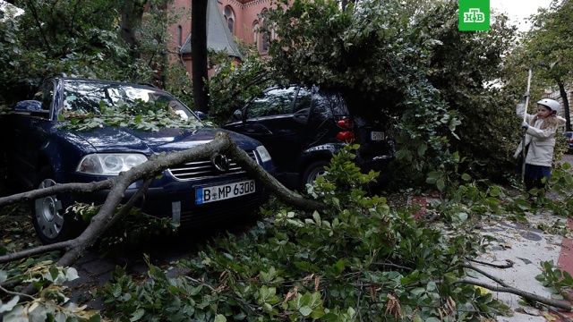  �������� ����� ������� ���� 