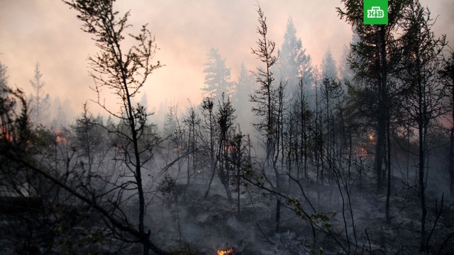  �������� ����� �������� ���� 