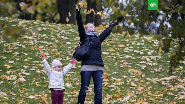  ������� ����������� ������� ����� ���������� ������ 