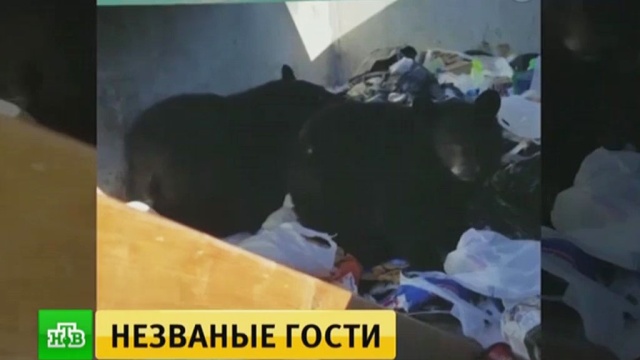  �������� ����� �������� ���������� ������������ ����� 