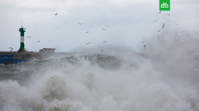  ������� �������� ��������� ����� ������� ������� ������ 