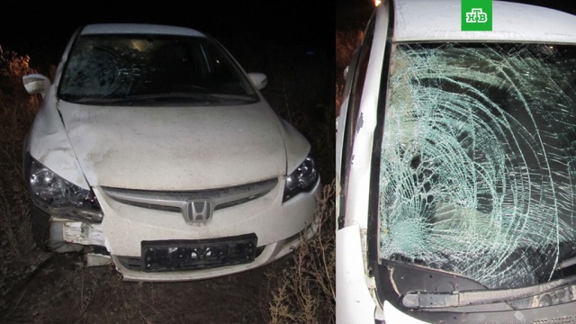  ������ �������� ���� ��������� ���������� ����� ��������� 