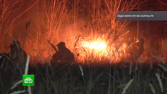  ������� ������� �������� ������ ������� ����������� ���� 