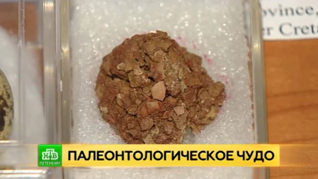  ������������ ���������� �������� ���� ��������� 