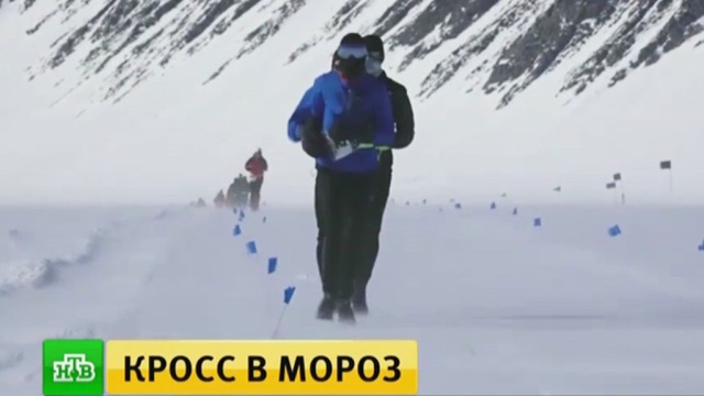  ��������� �������� �������� ��������� ��������� ���������� 