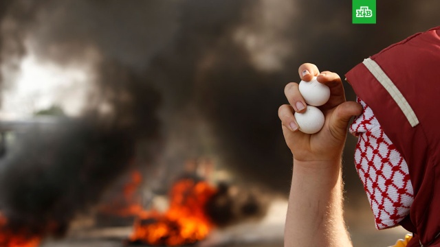  ���������� �������� �������� �������� ���� ���������� ��������� ������� 