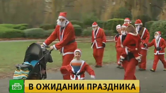 Фото: ntv.ru