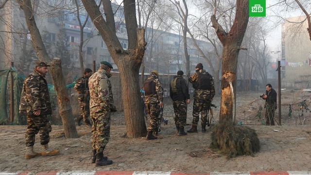  �������� ������� ������ 